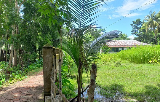 image-here